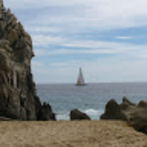 Meet your Posher, Jenni